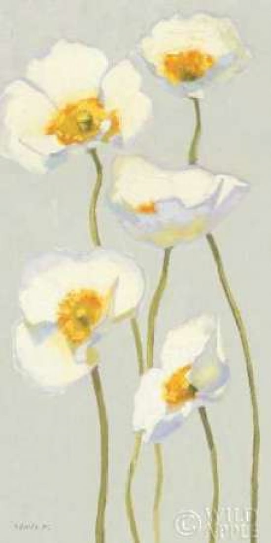 White on White Poppies Panel II Canvas Art - Shirley Novak (10 x 20)