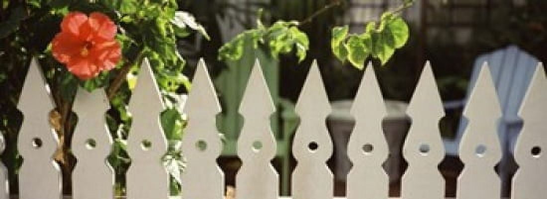 White picket fence and red hibiscus flower along Whitehead Street Key West Monroe County Florida USA Canvas Art - Panoramic Images (18 x 7)