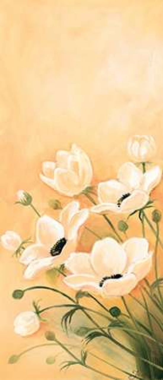 White poppies 1-3 Canvas Art - Jasper (10 x 20)