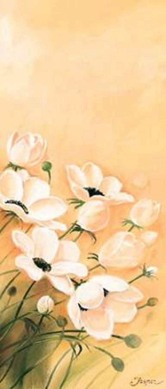 White poppies 3-3 Canvas Art - Jasper (10 x 20)