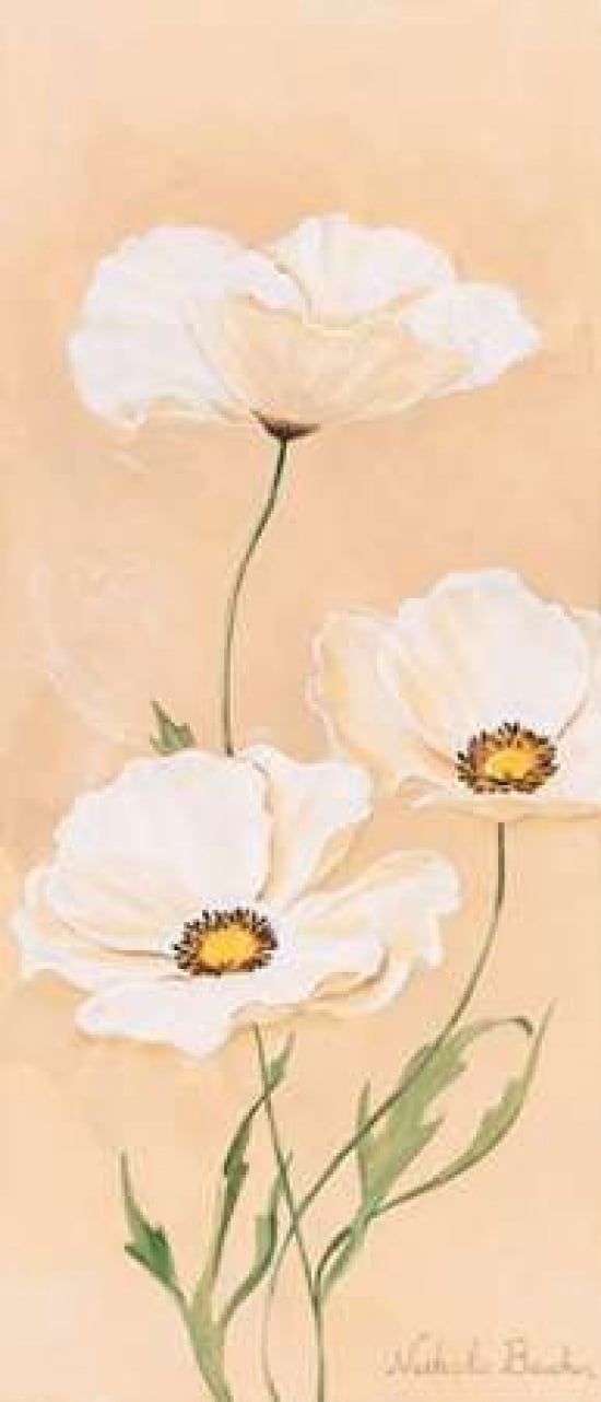 White poppy I Canvas Art - Nathalie Boucher (10 x 20)