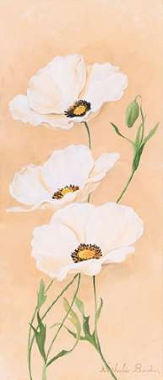 White poppy III Canvas Art - Nathalie Boucher (10 x 20)