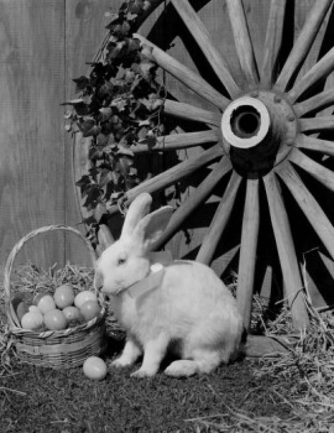 White rabbit and Easter eggs in basket Canvas Art - (18 x 24)