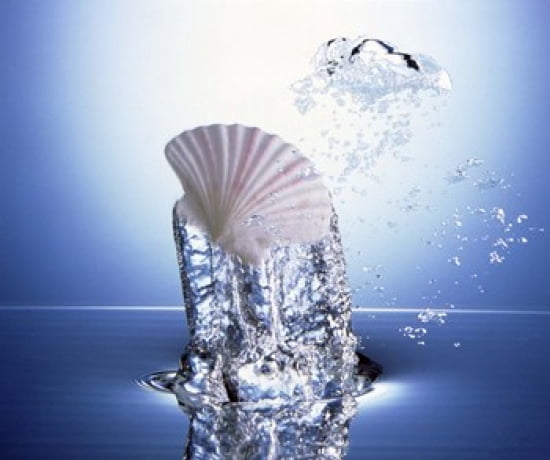 White scallop shell being raised on pillar of bubbling water Canvas Art - Panoramic Images (24 x 20)