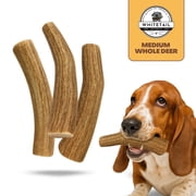 WhiteTail Naturals - 3 Pack Medium - Deer Antler Dog Chews - All Natural Antlers for Dogs