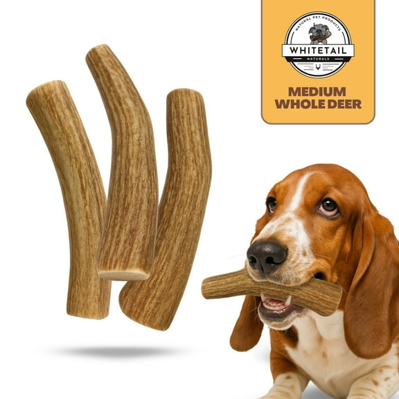 WhiteTail Naturals - 3 Pack Medium - Deer Antler Dog Chews - All Natural Antlers for Dogs