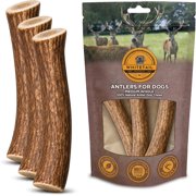 WhiteTail Naturals - 3 Pack Medium - Deer Antler Dog Chews - All Natural Antlers for Dogs