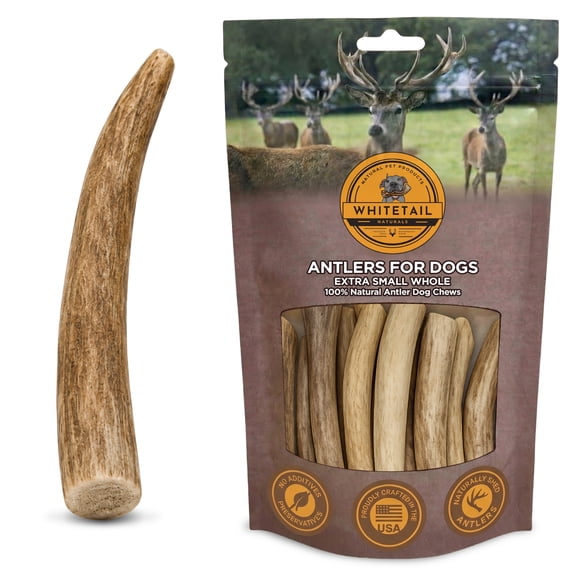 WhiteTail Naturals - Deer Antlers for Extra Small Dogs (12 Pack) Natural Dog Antler Chews for Puppies & Small Aggressive Chewers - Long Lasting Chew Bones