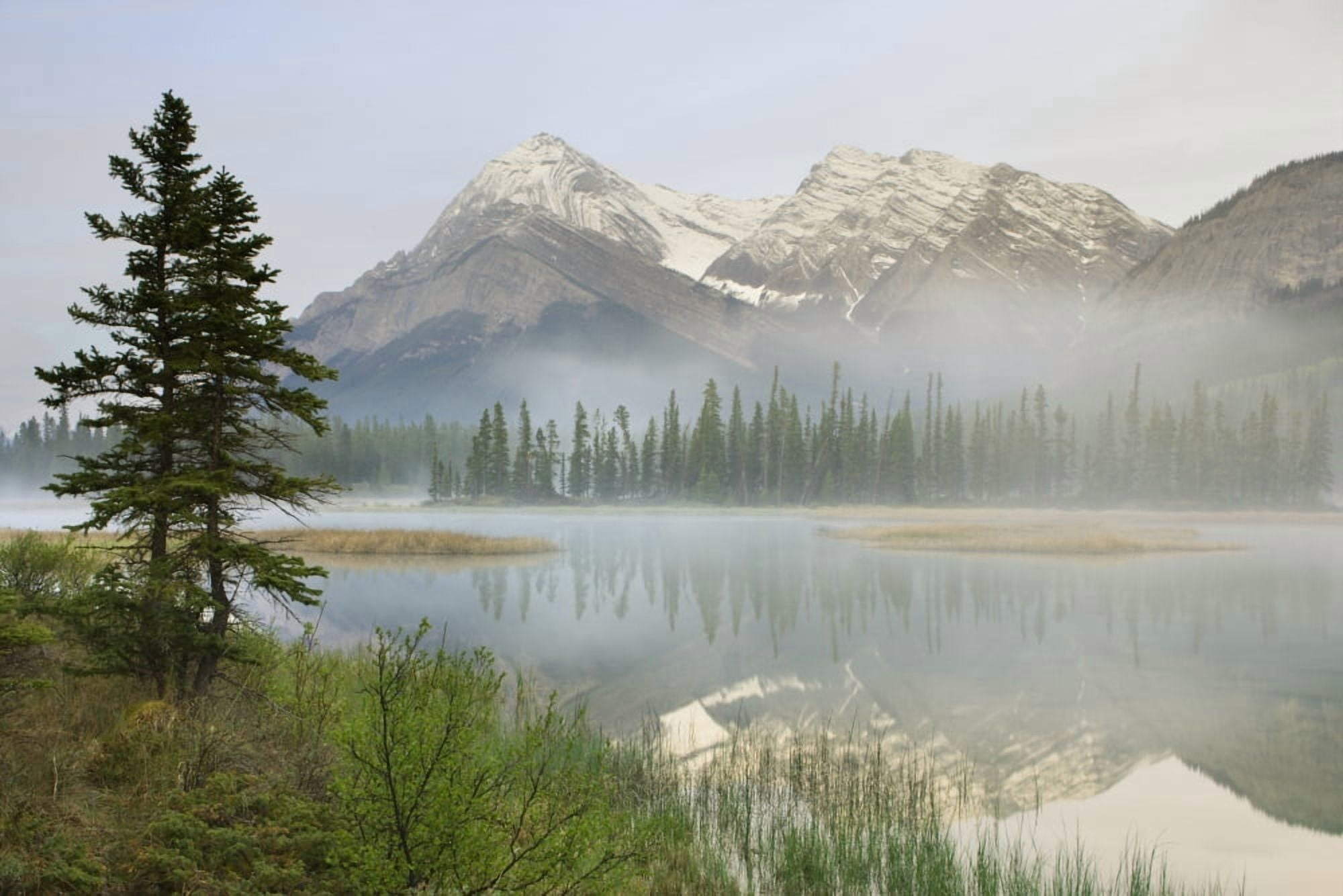 Whitegoat Lake And Mount Elliot Kootenay Plains Alberta Canada Canvas Art - Darwin Wiggett Design Pics (34 x 22)
