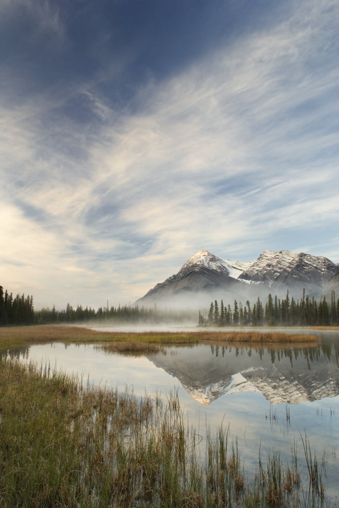 Whitegoat Lake And Mount Elliot Kootenay Plains Alberta Canvas Art - Darwin Wiggett Design Pics (11 x 17)