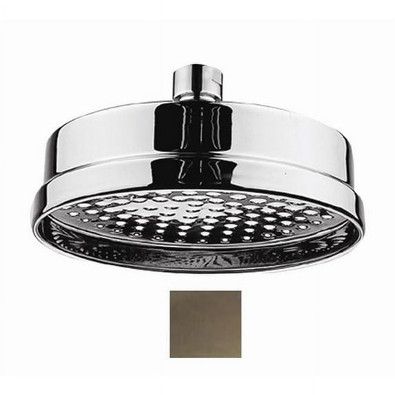 Whitehaus Showerhaus Watering Can Showerhead with 141 Spray Holes - Solid Brass Construction with Adjustable Ball Joint