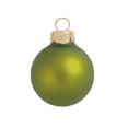 thumbnail image 1 of 4ct Matte Green Kiwi Glass Ball Christmas Ornaments 4.75" (120mm), 1 of 1