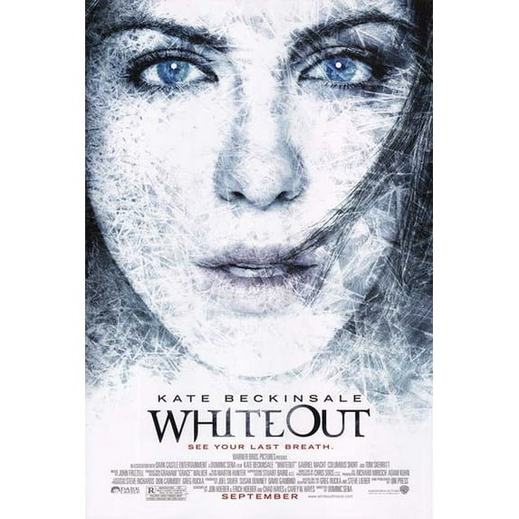 Whiteout - style B Movie Poster (11 x 17)