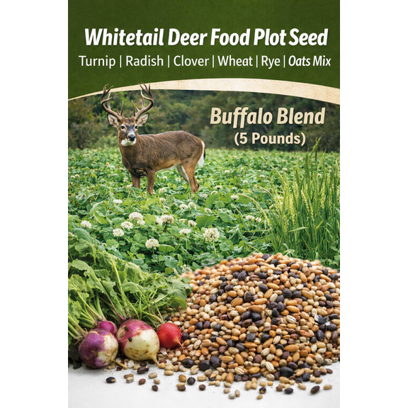 Whitetail Deer Food Plot Seed | Turnip Radish Clover Wheat Rye Oats Mix | Buffalo Blend (5 Pounds)
