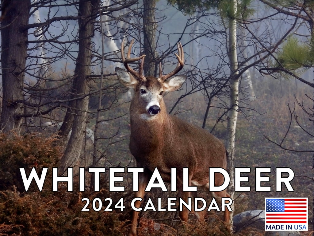 Whitetail Deer White Tail Hunting Gifts 2024 Wall Calendar Whitetail
