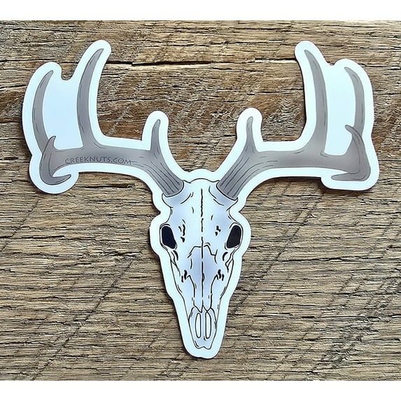 Whitetail Euro Mount Sticker Decal