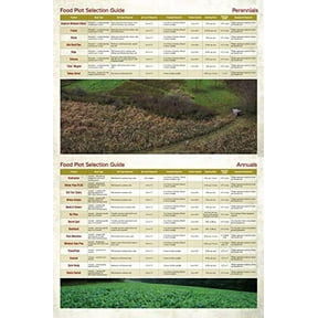 Whitetail Institute BowStand Deer Food Plot Seed, Annual Forage Designed to Attract Deer to Small, Remote Food Plots for Bow Hunting, Can Be Planted with Hand Tools, 4 lbs (4500 sq