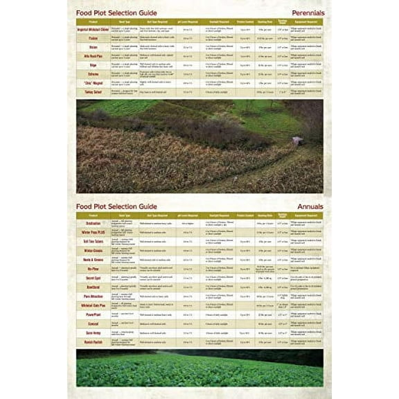 Whitetail Institute BowStand Deer Food Plot Seed, Annual Forage Designed to Attract Deer to Small, Remote Food Plots for Bow Hunting, Can Be Planted with Hand Tools, 4 lbs (4500 sq