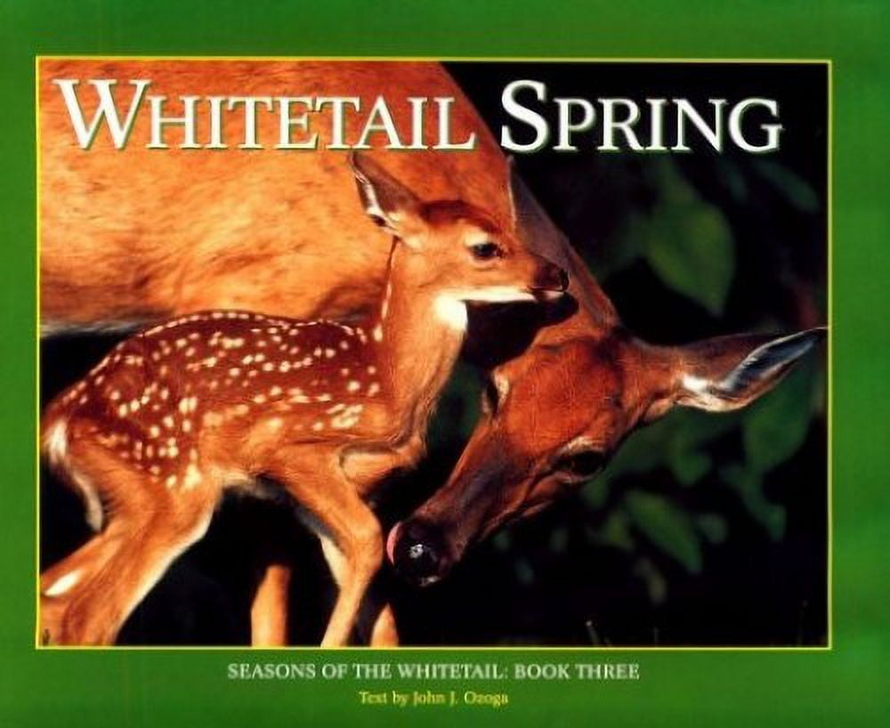 Pre-Owned Whitetail Spring: Seasons of the  Whitetail/John J. Ozoga, Bk 3 Hardcover John Ozoga