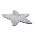 thumbnail image 1 of Whitewashed Cast Iron Starfish Decorative Bowl- 8 in., 1 of 1