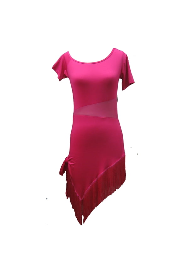 Fringe Ballroom Latin Salsa Rumba Jive Dance Exercise Competition Training Dress Rose Red
