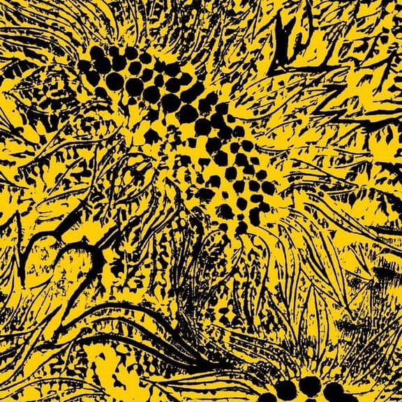 Whiting, Amanda - Little Sunflower - Music & Performance - Vinyl