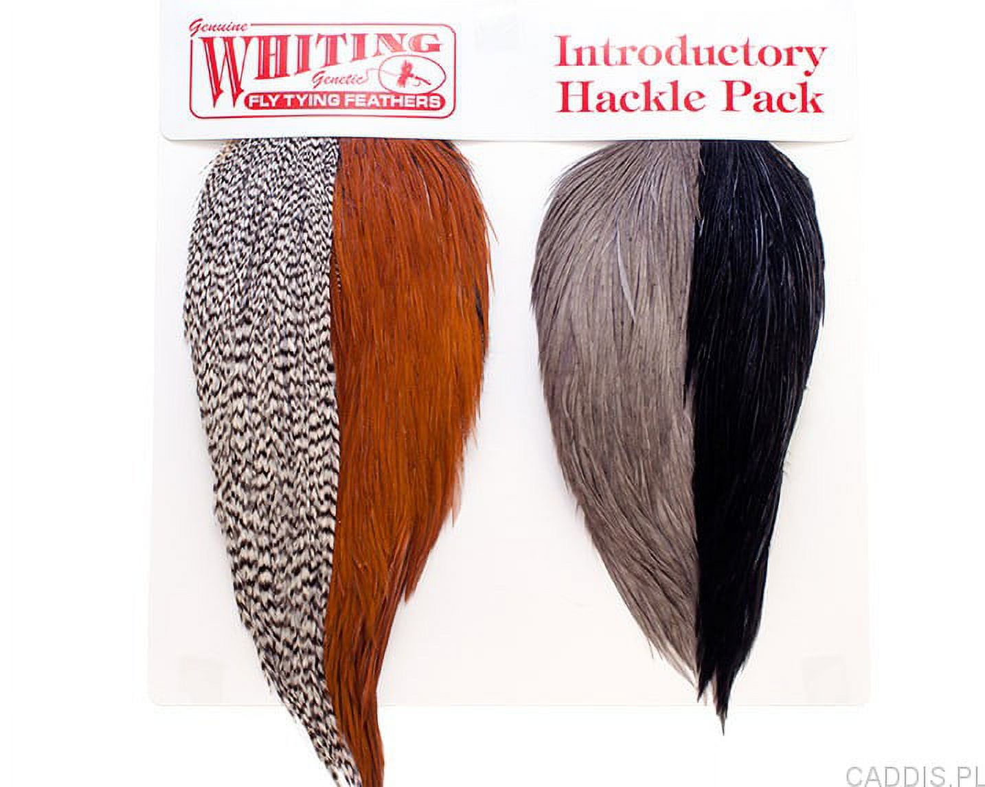 Whiting Farms Introductory Hackle Pack - Walmart.com