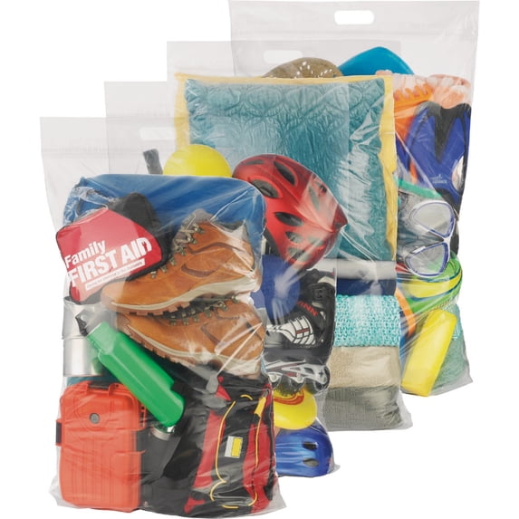 Whitmor Spacemaker Storage Bag - Portable Closet Organizer - Clear