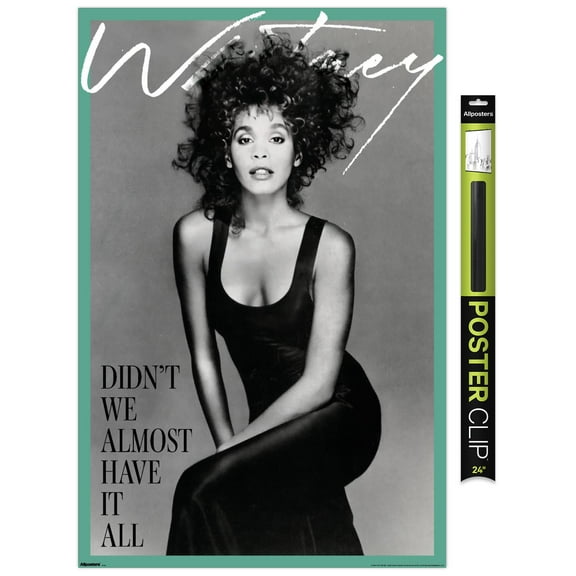 Whitney Houston - Didn't We Almost Have It All Wall Poster, 22.375" x 34"