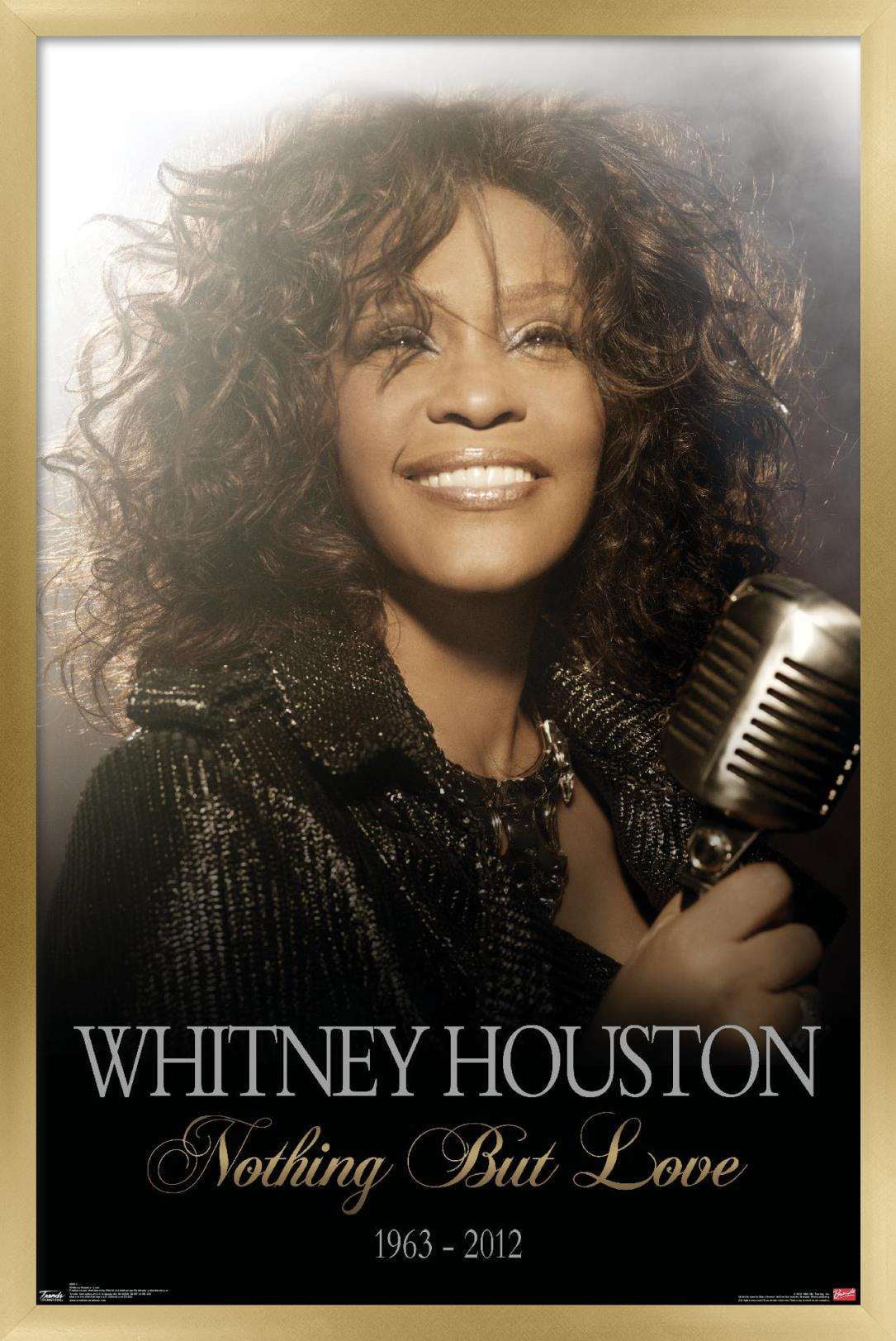 Whitney Houston - Love Wall with Wooden Magnetic Frame, 22.375" x 34" -