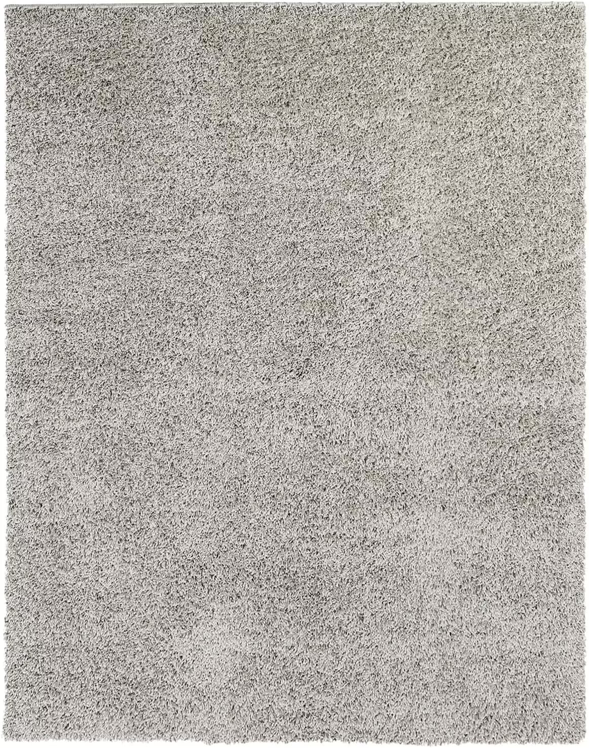 WhizMax 2' x 3' Shag Area Rug Indoor Floor Mat Plush Fuzzy Shaggy Rug