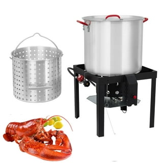 Hemoton Stock Pot Strainer Basket Insert Seafood Boil Pot Crawfish Crab  Steamer Pot Stainless Steel Pasta Cooker for Home Restaurant Kitchen