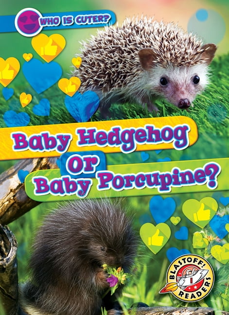 Who Is Cuter? Baby Hedgehog or Baby Porcupine?, (Hardcover)