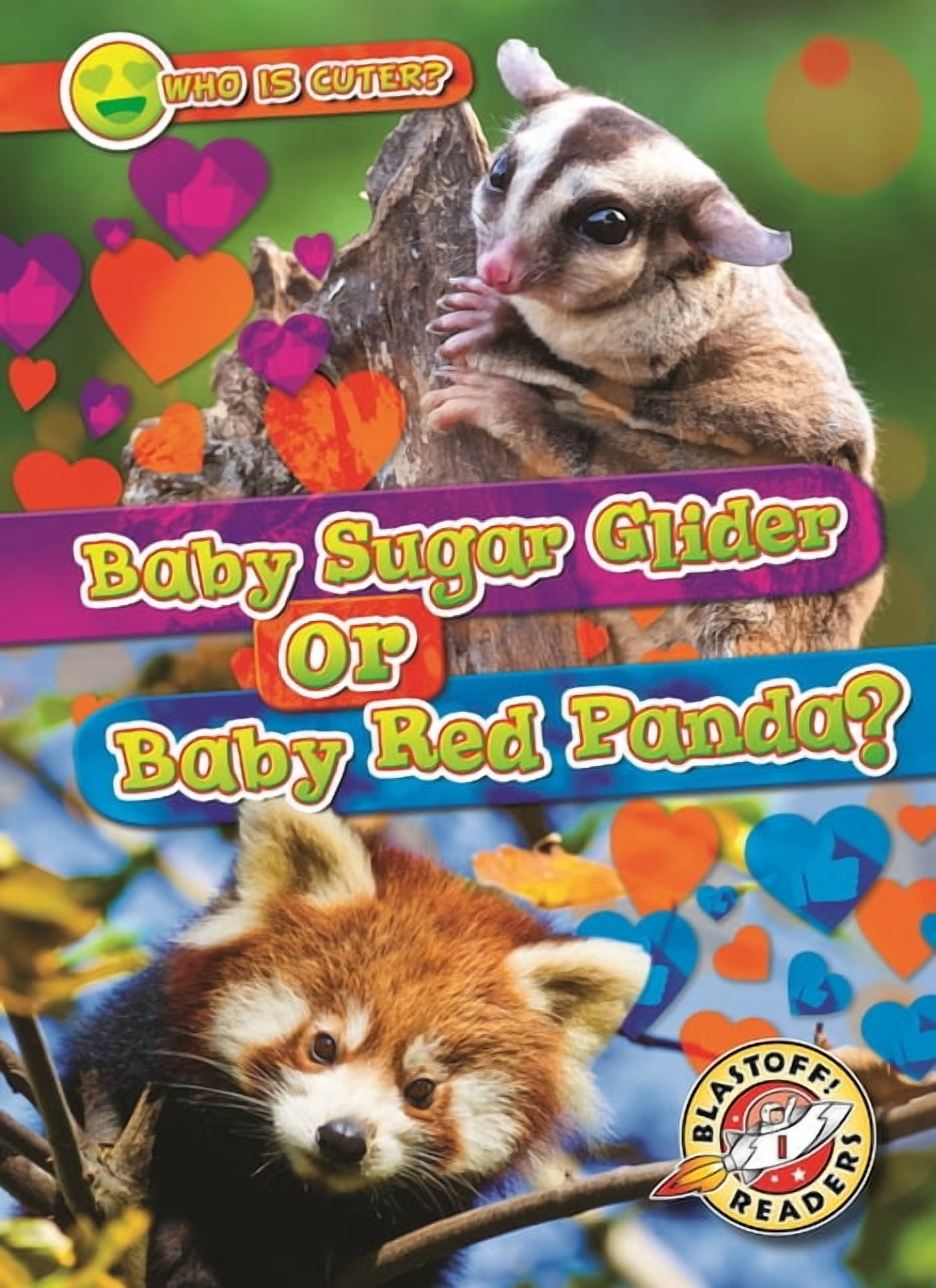 Who Is Cuter? Baby Sugar Glider or Baby Red Panda?, (Hardcover)
