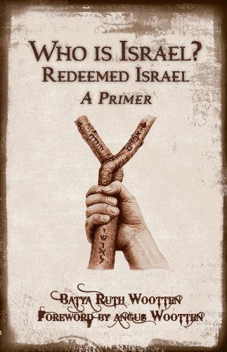Pre-Owned Who Is Israel? Redeemed Israel - A Primer (Paperback) 1886987394 9781886987395