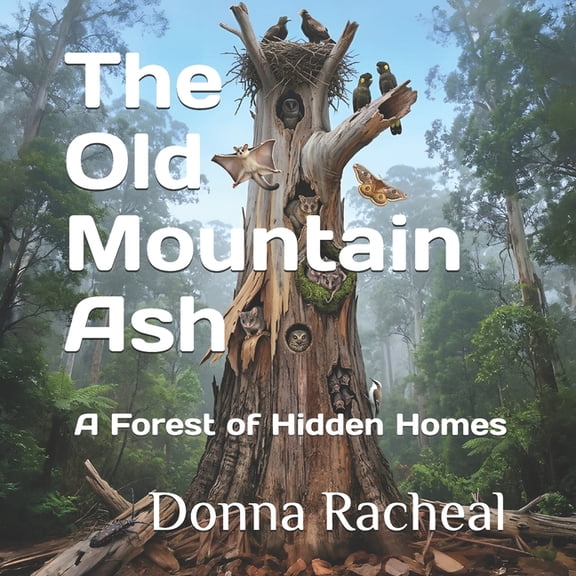 Who Lives Here? The Old Mountain Ash: A Forest of Hidden Homes, (Paperback)
