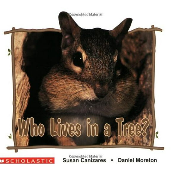 Pre-Owned Who Lives in a Tree? (Paperback) 0590158562 9780590158565