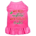 thumbnail image 1 of Christmas Pet Dog  Cat Dress Screen Printed, "Who Needs Mistletoe", 1 of 2