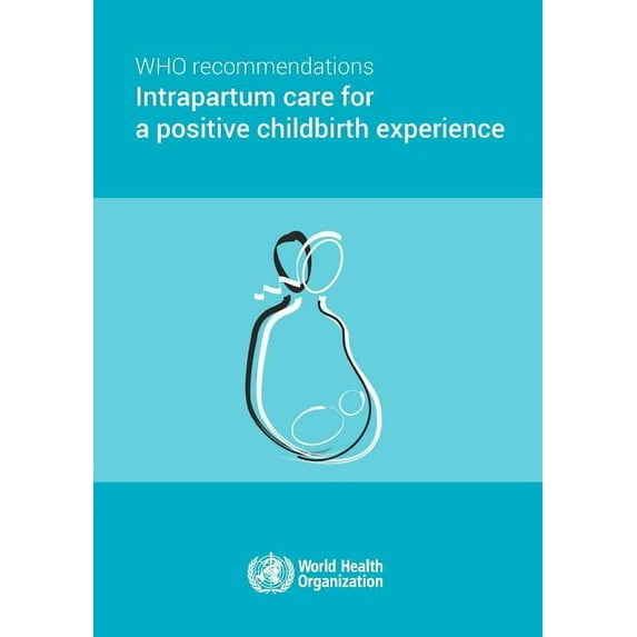 Who Recommendations on Intrapartum Care for a Positive Childbirth Experience (Paperback)