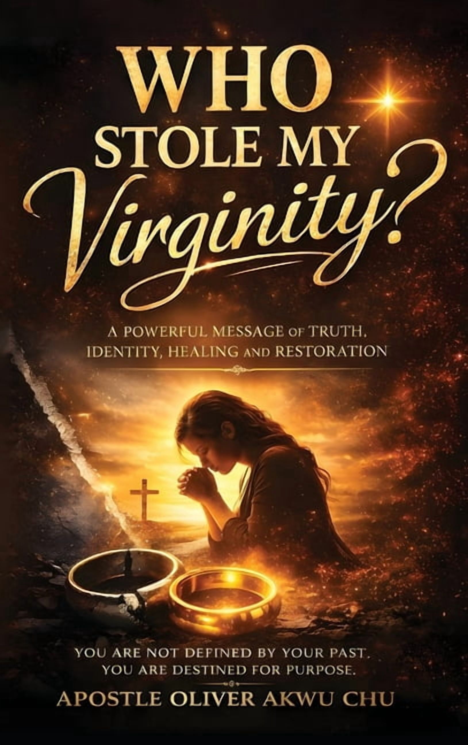 Who Stole My Virginity?, (Hardcover)