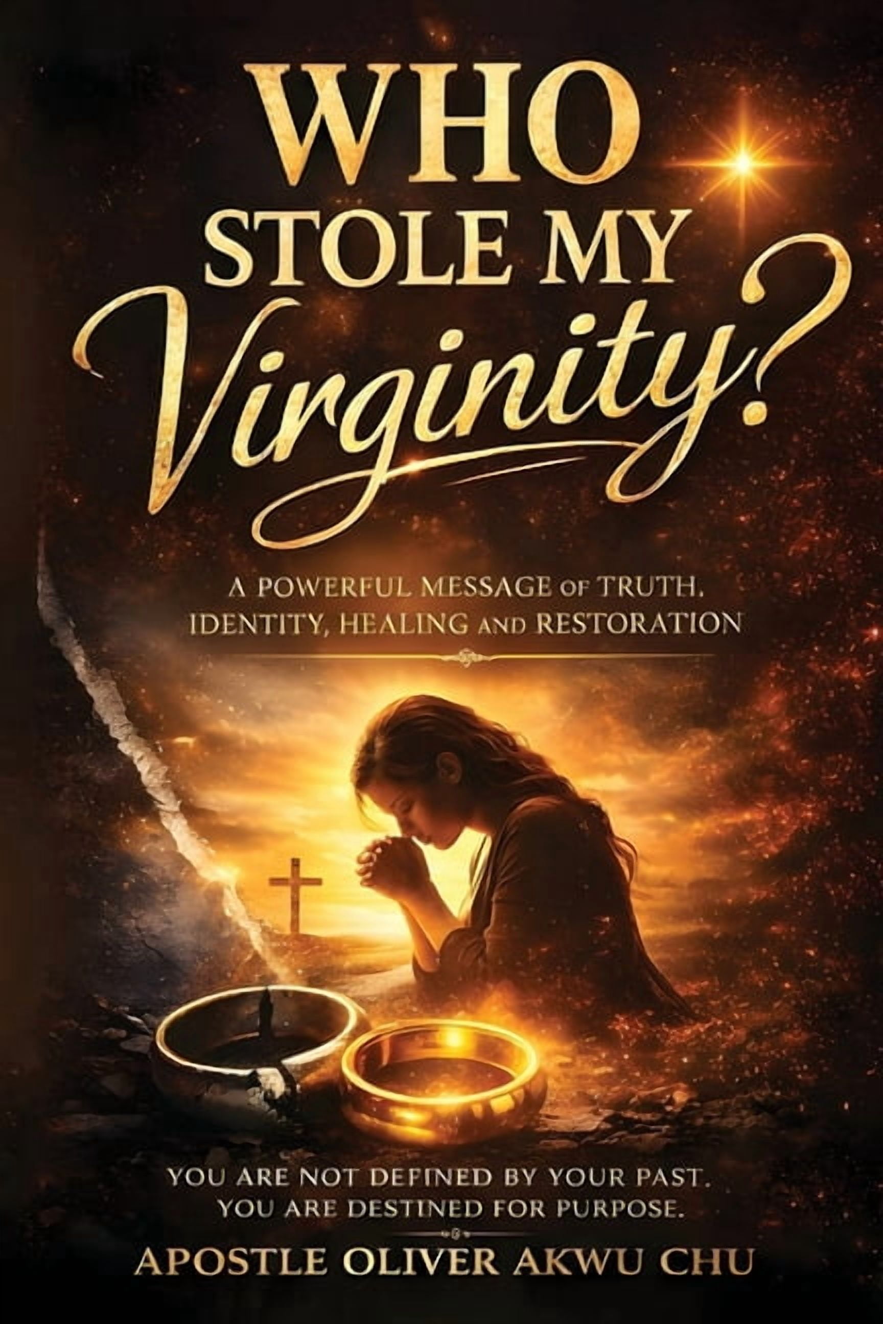 Who Stole My Virginity?, (Paperback)