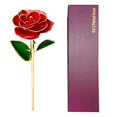 thumbnail image 1 of Whoamigo 24K Plated Gold Dipped Rose Dried Flower Kit with Gift Box and Dispaly Stand for Valentine's Day Wedding Anniversary, 1 of 17