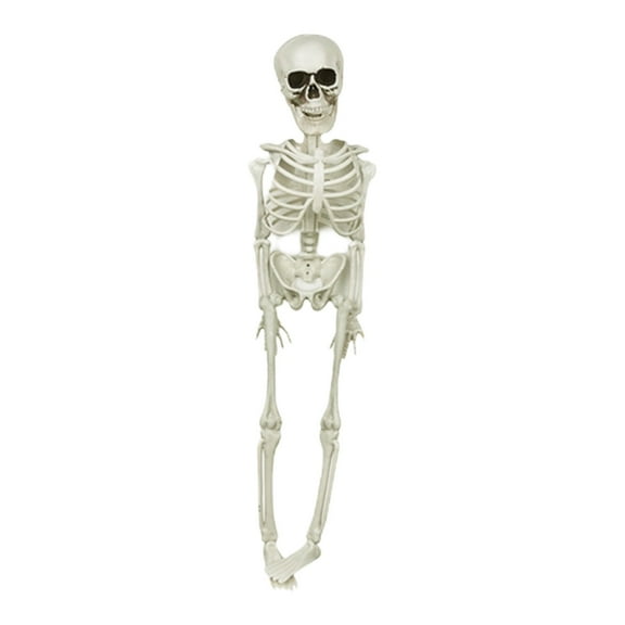 Whole Body Hanging Skeleton Decoration with Movable Joints, Halloween Graveyard Party Props, Poseable Plastic Figure for Indoor Outdoor