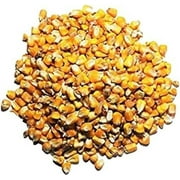 Whole Corn Kernels - Superior Feed Corn for Wildlife - Including Deer, Turkeys, Squirrels, Birds and More! Attract a Multitude of Species with One Highly Nutritional Option