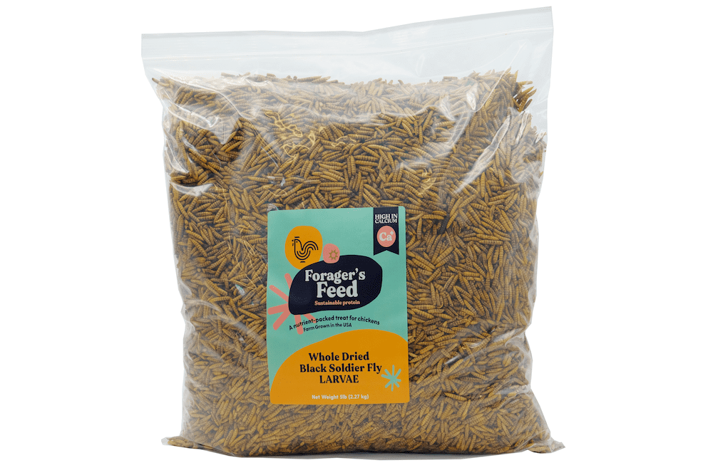 Whole Dried Black Soldier Fly Larvae Bag (BSFL) 5 Lbs. - Walmart.com