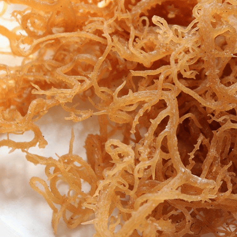 Premium Quality Natural Gold Irish Sea Moss 1\2lb