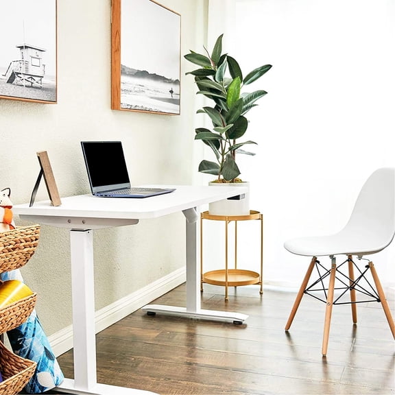 Whole Piece Electric Standing Desk, 48 X 24 Inches, Adjustable Height 28 - 47", White, Ergonomic, Sufficient Workspace Area Platform Desk 48x24, 47