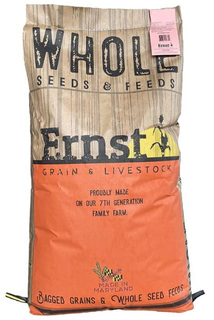 Whole Seeds & Feeds NonGMO Barley for Food & Baking, 50 lbs