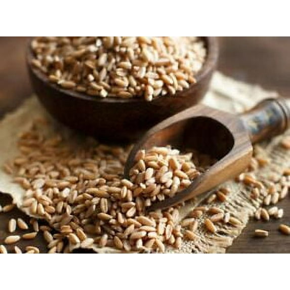 Whole Wheat 5 Grain Pancake Mix