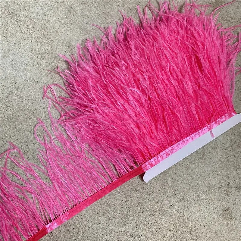 DINGMI 10 Metres Natural Rooster Feather Trim Fringe For Craft